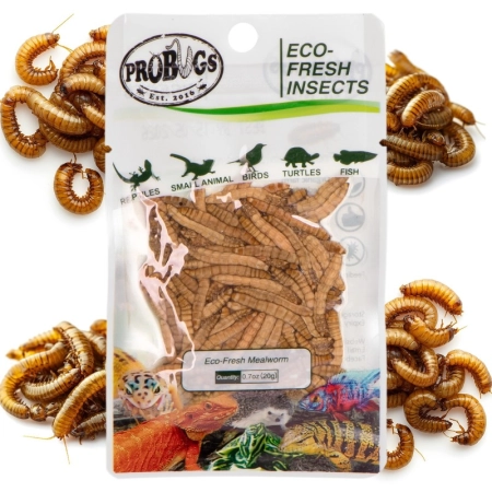 ProBugs Eco-Fresh Mealworm 20g - świeże larwy mącznika